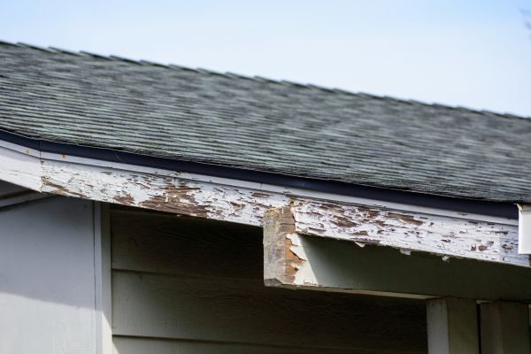 Cincinnati Wood Rot Repair