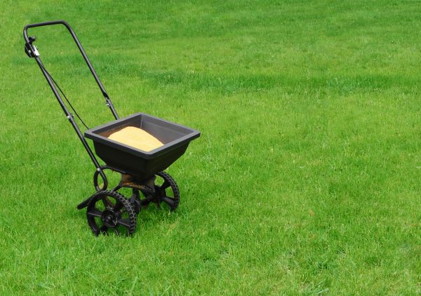 Cincinnati Lawn Treatment