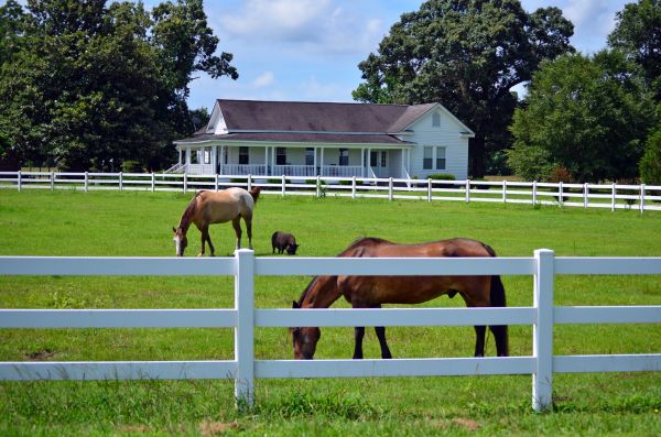 Cincinnati Fence Service